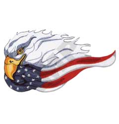 Eagle with USA Flag